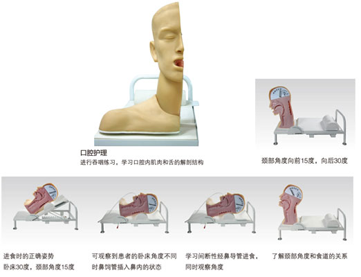 高級吞咽機(jī)制模型