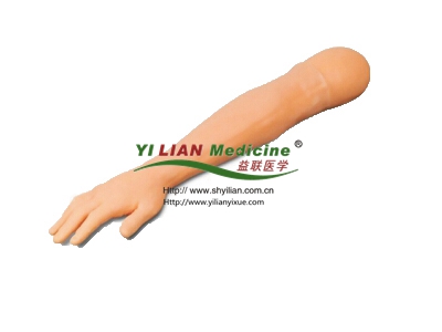 wᘾֱᘾӖģ