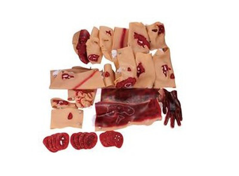 43部件創(chuàng)傷評(píng)估模塊