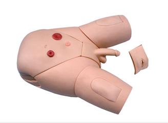 高級(jí)下半身護(hù)理模型(男\(zhòng)女生殖器互換)
